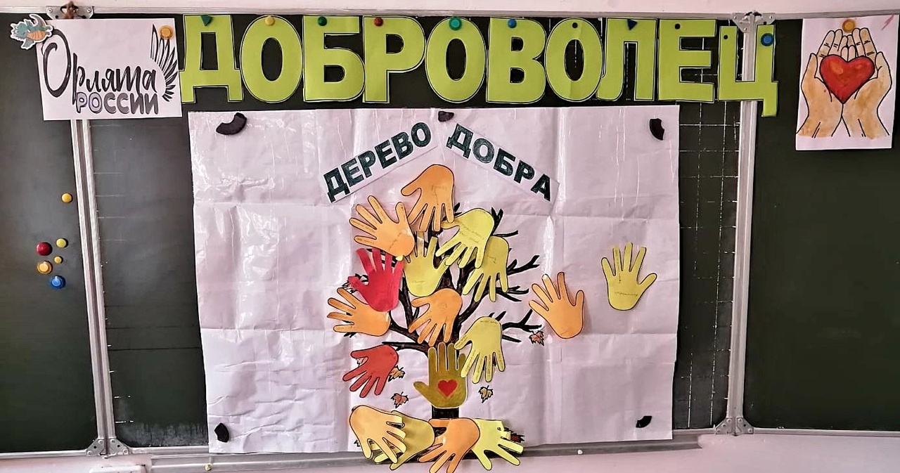 «Орлёнок – Доброволец».